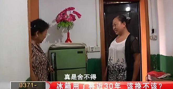 今三家易主只剩下一家成为一线品牌米乐m6中国冰箱界的四朵金花如(图4)