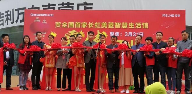 今三家易主只剩下一家成为一线品牌米乐m6中国冰箱界的四朵金花如(图6)