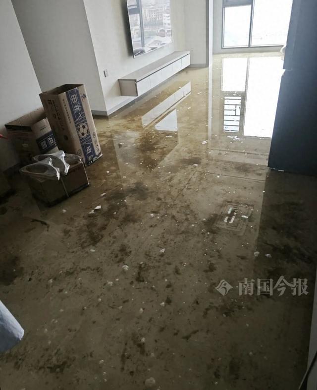 崩溃：全屋都是无法接受婚房被粪水浸泡！业主(图3)